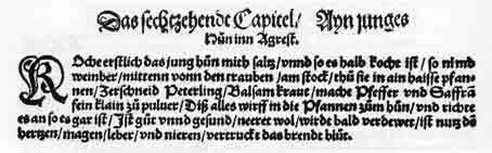 Platinas Huhn , deutsche Ausgabe 1542